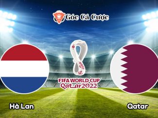 Nhận định Hà Lan vs Qatar 29/11/2022